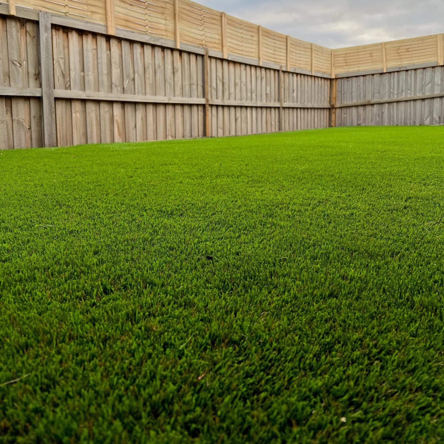 Artificial Grass Supplier Melbourne – Ausgrass Artificial Grass Supplier Melbourne – Ausgrass