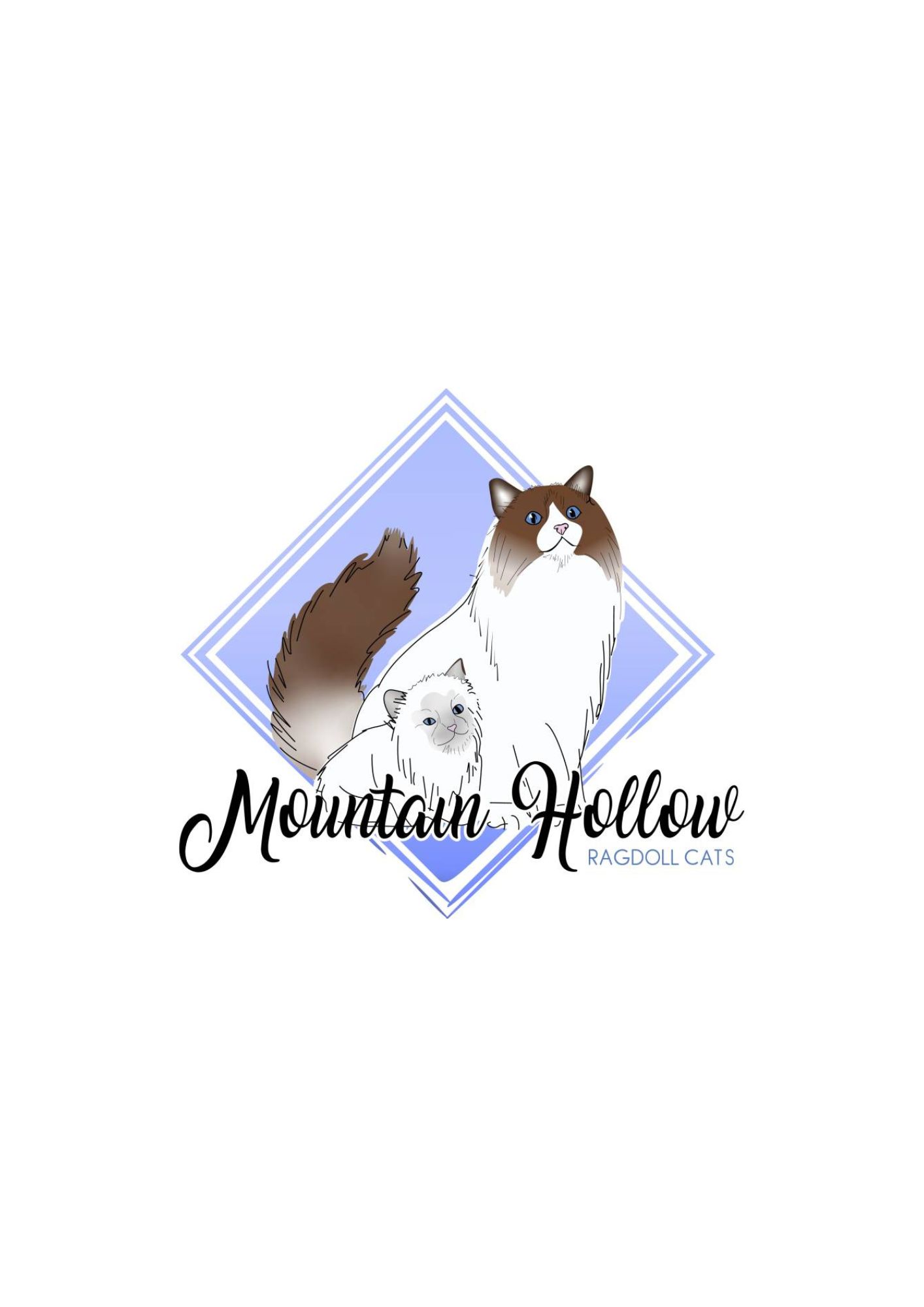 Mountain Hollow Ragdolls Registered Cats and Kittens Mountain Hollow Ragdolls Registered Cats and Kittens